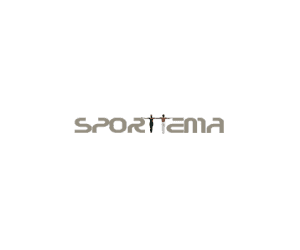 Sporttema